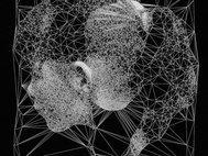 Generative portraits (made with Processing) by Diana Lange