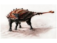 Анкилозавр вида Ziapelta sanjuanensis