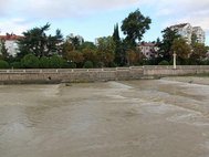 Разлившаяся река Сочи