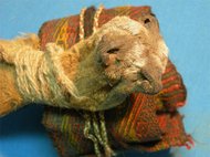 Предметы из сумки древнего шамана: головная повязка и мешочек из меха лисиц