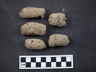 Копролиты 7000-летней давности, найденные в китайской провинции Аньхой