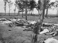 Останки убитых армян. Фотография Генри Моргенсо