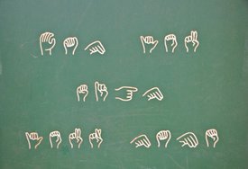 Загадки жестовых языков