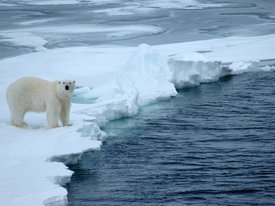 СМИ узнали о моратории на льготы по новым нефтегазовым проектам в Арктике