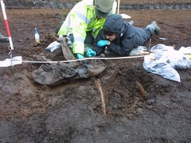 Мумифицированному человеку, найденному в ирландском болоте, оказалось четыре тысячи лет