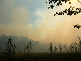 Ущерб от пожаров в Забайкалье достиг миллиарда рублей