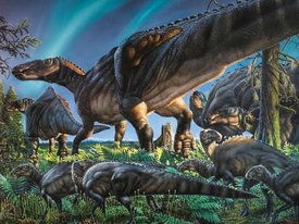 На Аляске обитал холодоустойчивый динозавр