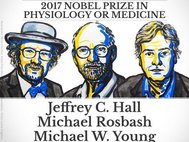 Лауреаты Нобелевской премии 2017 года по медицине