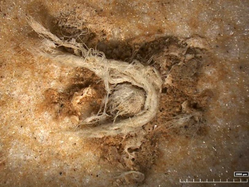 Найденный в Абри-дю-Мара фрагмент нити