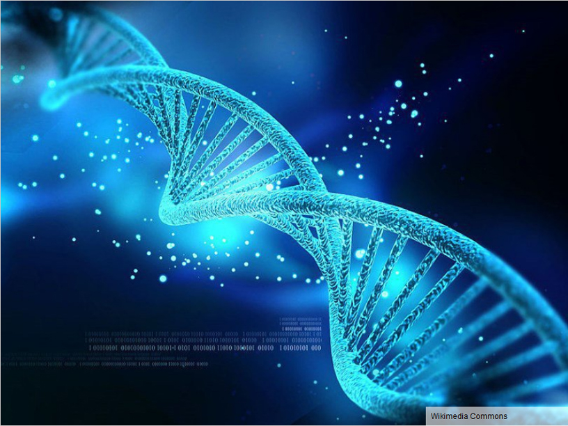 Редактирование генома человека: первые итоги китайского эксперимента